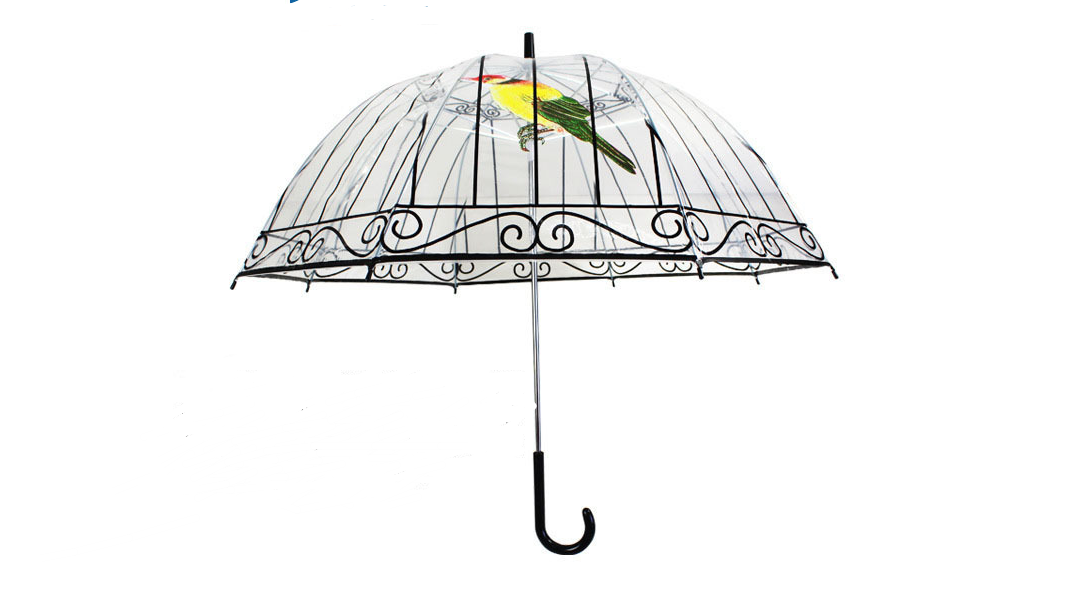 Transparent Birdcage Umbrella