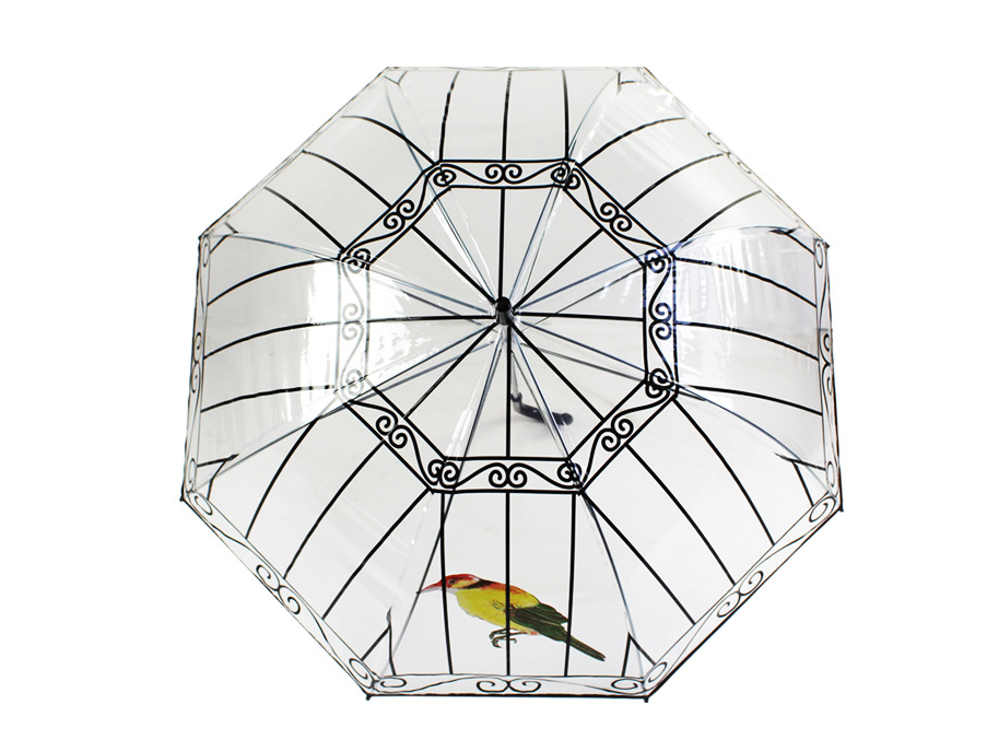 Transparent Birdcage Umbrella
